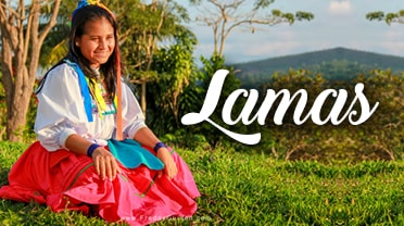 Banner Lamas
